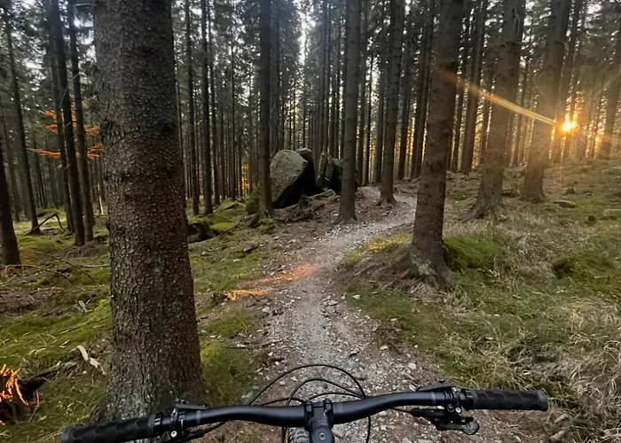 Azyl W Szklarskiej Porebie *