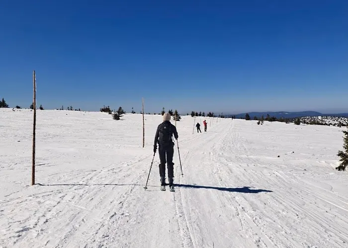 Azyl W Szklarskiej Porebie شقة شكلارسكا بوريبا