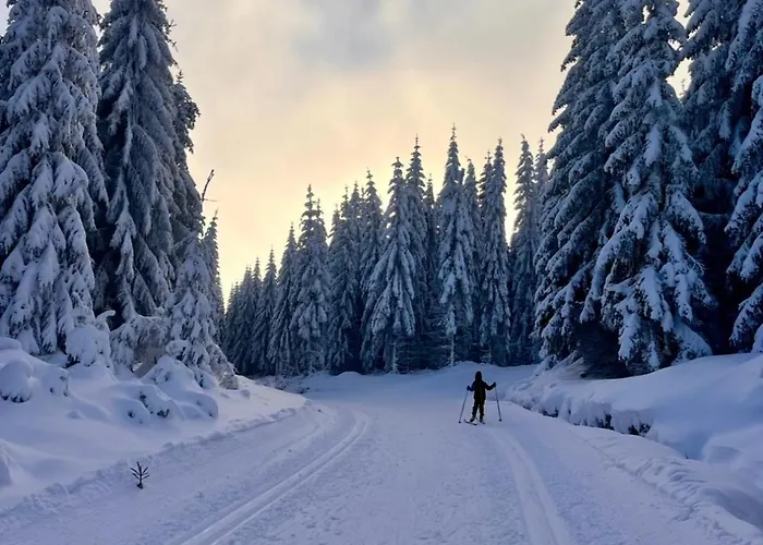 Azyl W Szklarskiej Porebie شقة *