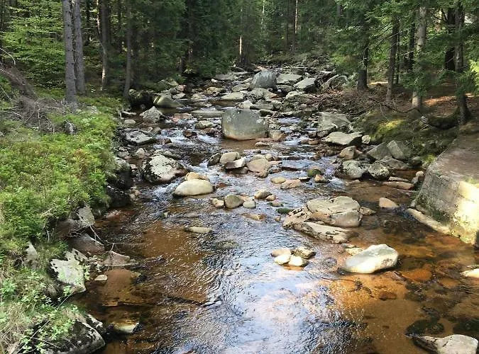 Апартаменты Azyl W Szklarskiej Porebie *